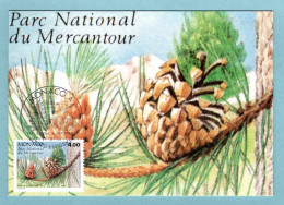 Carte Maximum Monaco 1991 - National Du Mercantour - Conifères - Pin à Crochets - YT 1801 - Maximumkaarten