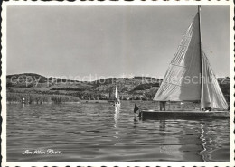 11626511 Altenrhein Am Alten Rhein Segelboot Altenrhein - Sonstige & Ohne Zuordnung