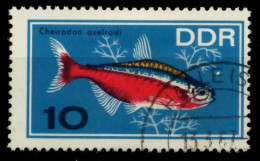 DDR 1966 Nr 1222 Gestempelt X90770A - Used Stamps