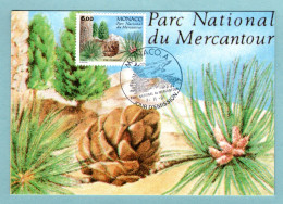 Carte Maximum Monaco 1991 - National Du Mercantour - Conifères - Pin Cembro - YT 1803 - Maximum Cards