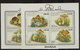 Ghana Block 164 Und 165 Postfrisch Pilze #GH124 - Ghana (1957-...)