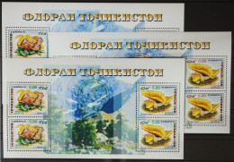 Tadschikistan 163 Und 164 Postfrisch Kleinbögen, Mit Aufdruck #GH354 - Tajikistan