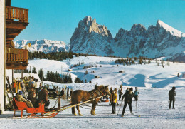 Alpe Di Siusi Il Sassolungo - Autres & Non Classés