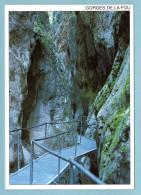 CP 66 - Gorges De La Fou - Le Torrent S'est Taillé Un Extraordinaire Canyon - Sonstige & Ohne Zuordnung