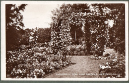 ROYAUME UNI + WESTCLIFF-ON-SEA - Chalkwell Park Rose Garden - Southend, Westcliff & Leigh