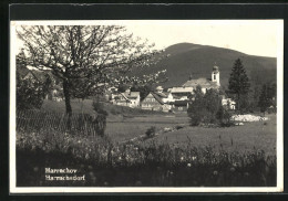 AK Harrachov / Harrachsdorf, Ortsansicht Im Frühling  - Czech Republic