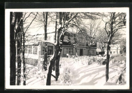 AK Harrachsdorf, Cafe Tilly Im Schnee  - Czech Republic