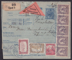 Hungary 1918, Serbia, Very Intersting Postal Form From Uj Pest To Irig - Otros & Sin Clasificación