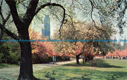 R065448 Schenley Park. Pittsburgh. Pennsylvania. Nelson Jones - Monde