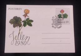 C) 1980. NORWAY. FDC. FLOWER STAMP POSTCARD. XF - Otros & Sin Clasificación