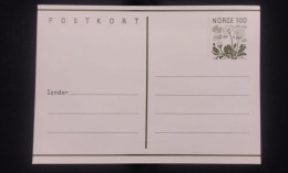 C) 1981. NORWAY. FDC. FLOWER STAMP POSTCARD. XF - Other & Unclassified