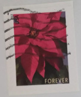 VERINIGTE STAATEN ETATS UNIS USA 2013 POINSETTIA F  F USED ON PAPER SN 4816 MI 5007BD YT 4638 SN 5443 - Used Stamps