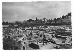 St Rémy De Provence - Les Ruines De Glanum - N° 1182 # 2-23/22 - Saint-Remy-de-Provence