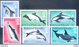 Fauna. Orche 1980. - Falklandeilanden