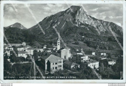 Bg194 Cartolina Strigno Valsugana Coi Monti Silana E Lefre 1941 Trento - Trento