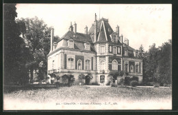 CPA Aiserey, Le Château  - Autres & Non Classés