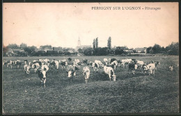 CPA Perrigny-sur-l`Ognon, Pâturages  - Autres & Non Classés