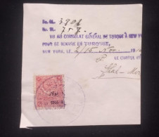 C) 1918, TURKEY, AIR MAIL, CUT SHEET SENT TO THE UNITED STATES 2ND CHOICE - Other & Unclassified