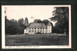 CPA Nogent-les-Montbard, Le Chateau  - Montbard