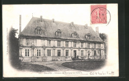 CPA Montigny-sur-Aube, Le Chateau  - Autres & Non Classés