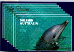 10-5-2024 (4 Z 36) Australia - NSW - Dolphin In Coffs Harbour (posted With Bird Stamp In 1997) - Fish & Shellfish