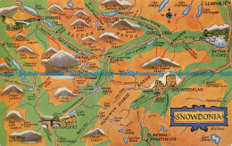 R065852 Snowdonia. A Map. Salmon - Monde