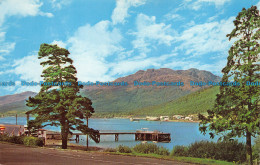 R065875 Arrochar. Dunbartonshire. Scotland. Dexter - Monde