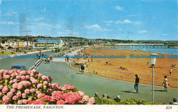 R065886 The Promenade. Paignton. 1979 - Monde