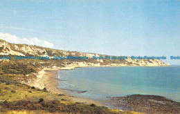 R065924 The Warren. Folkestone. D. Fuller. C. G. Williams - World