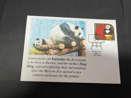 10-5-2024 (4 Z 37) Russia - Giant Panda (for Katyusha & Ding Ding) Outdoor Enclosure Open At Moscow Zoo (with Kung Fu) - Beren