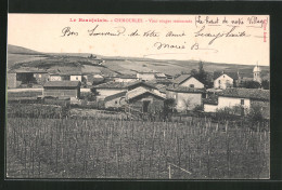 CPA Chiroubles, Vins Rouges Renommés  - Chiroubles