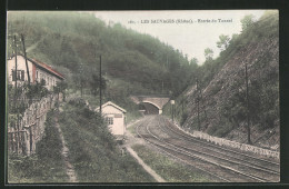 CPA Les Sauvages, Entrèe Du Tunnel  - Autres & Non Classés