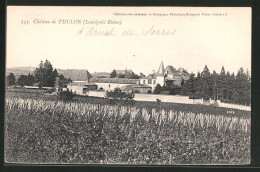 CPA Thulon, Château  - Sonstige & Ohne Zuordnung
