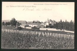 CPA Thulon, Château  - Autres & Non Classés