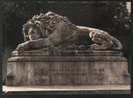 Fotografie Ansicht Wien-Aspern, Der Löwe Von Aspern, Denkmal  - Lugares