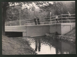 Fotografie Ansicht Hütteldorf, Wildbachverbauung Mit Brücke über Den Halterbach  - Lieux