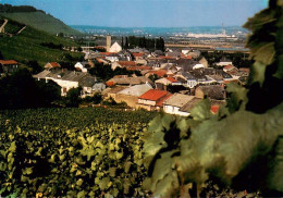 73944728 Remerschen_Schengen_Luxembourg Vue Panoramique - Andere & Zonder Classificatie