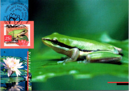 10-5-2024 (4 Z 38) Australia (1 Card) Maxicard (if Not Sold Will NOT Be Re-listed) Dwarf Tree Frog - Maximumkarten