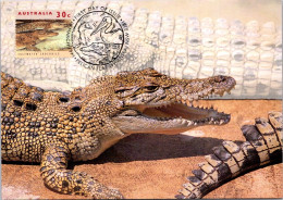 10-5-2024 (4 Z 38) Australia (1 Card) Maxicard (if Not Sold Will NOT Be Re-listed) Saltwater Crocodile - Cartoline Maximum