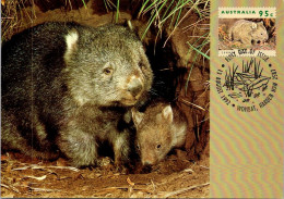 10-5-2024 (4 Z 38) Australia (1 Card) Maxicard (if Not Sold Will NOT Be Re-listed) Wombat - Cartes-maximum