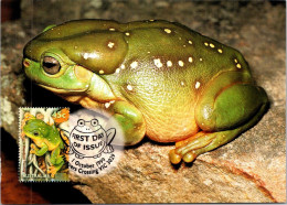 10-5-2024 (4 Z 38) Australia (1 Card) Maxicard (if Not Sold Will NOT Be Re-listed) Magnificent Tree Frog - Tarjetas – Máxima