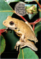 10-5-2024 (4 Z 38) Australia (1 Card) Maxicard (if Not Sold Will NOT Be Re-listed) Roth's Tree Frog - Tarjetas – Máxima