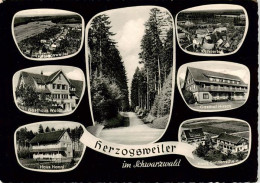 73902978 Herzogsweiler Pfalzgrafenweiler Gasthaus Waldhorn Haus Hanni Kurviertel - Other & Unclassified