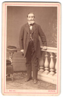 Fotografie L. Weise, Berlin, Portrait älterer Herr In Eleganter Kleidung Mit Bart  - Personas Anónimos