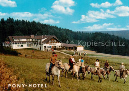 73864539 Hammelbach Grasellenbach Pony Hotel Ponyreiten  - Autres & Non Classés