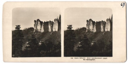 Stereo-Fotografie Ansicht Bastei, Blick Vom Gansfelsen Gegen Basteigebiet  - Stereo-Photographie