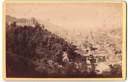 Fotografie Carl Lange, Heidelberg, Ansicht Heidelberg, Panorama  - Places