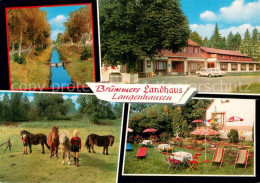 73756489 Langenhausen Bruemmers Landhaus Ponys Natur Langenhausen - Sonstige & Ohne Zuordnung