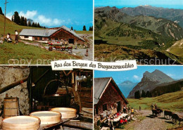 73756389 Vorarlberg Alpsennerei Im Bregenzerwald Alpenpanorama Vorarlberg - Sonstige & Ohne Zuordnung