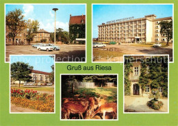 73065843 Riesa Sachsen Rathaus Tierpark Leninplatz Riesa Sachsen - Riesa